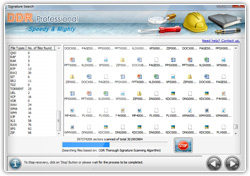 DDR Recovery – Professional Screenshot