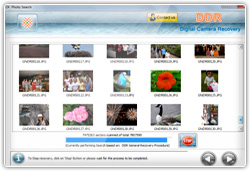 Digital Camera Data Recovery Software Screenshot